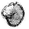 How to Trace Family Tree UK?